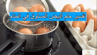 تفسير حلم البيض المسلوق في المنام